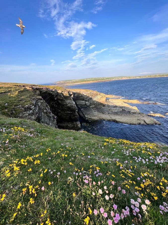 Peedie Cott Self-Catering, Orkney Saint Margarets Hope Luaran gambar