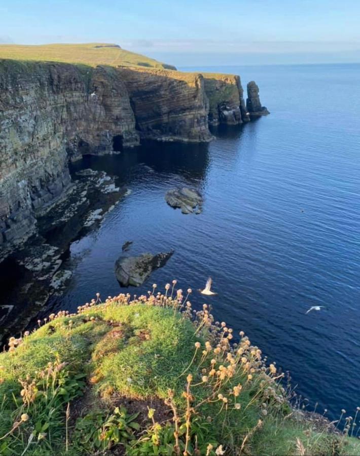 Peedie Cott Self-Catering, Orkney Saint Margarets Hope Luaran gambar