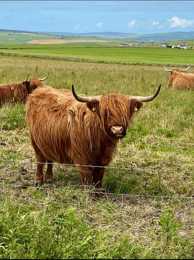 Peedie Cott Self-Catering, Orkney Saint Margarets Hope Luaran gambar